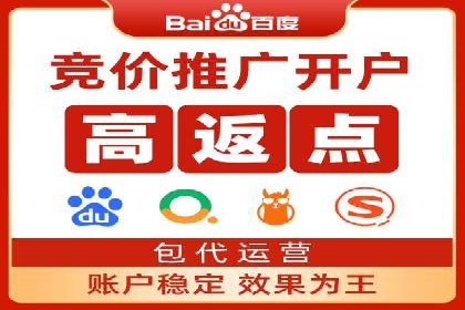 百度推广技巧：案例解析
